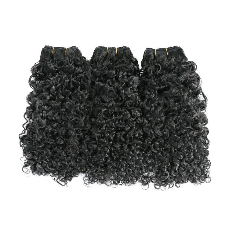 BURMESE JERRY CURLY