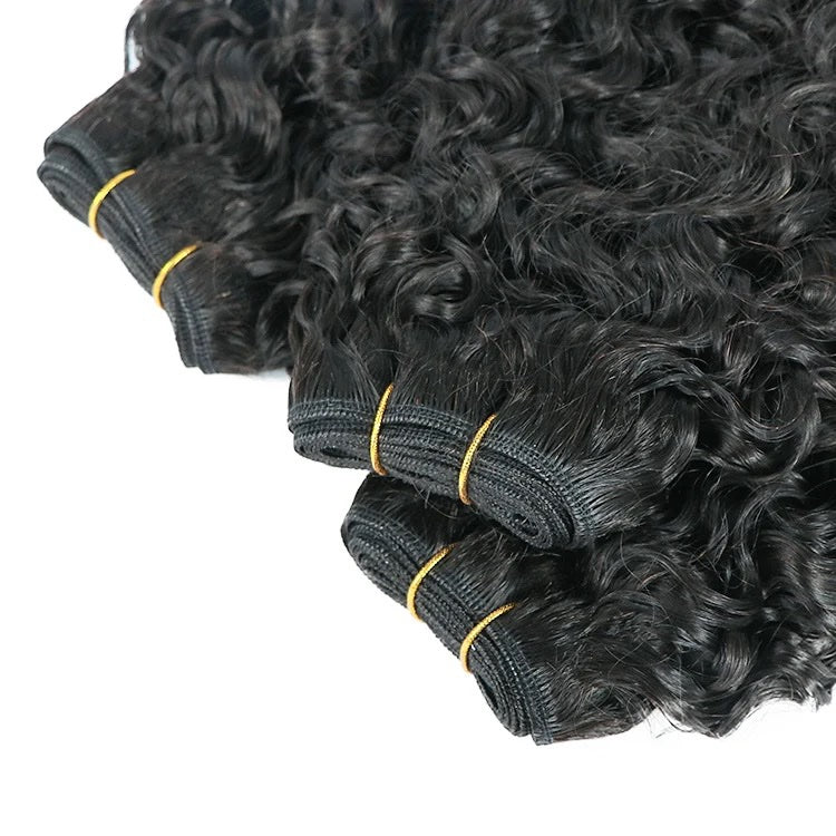 BURMESE JERRY CURLY