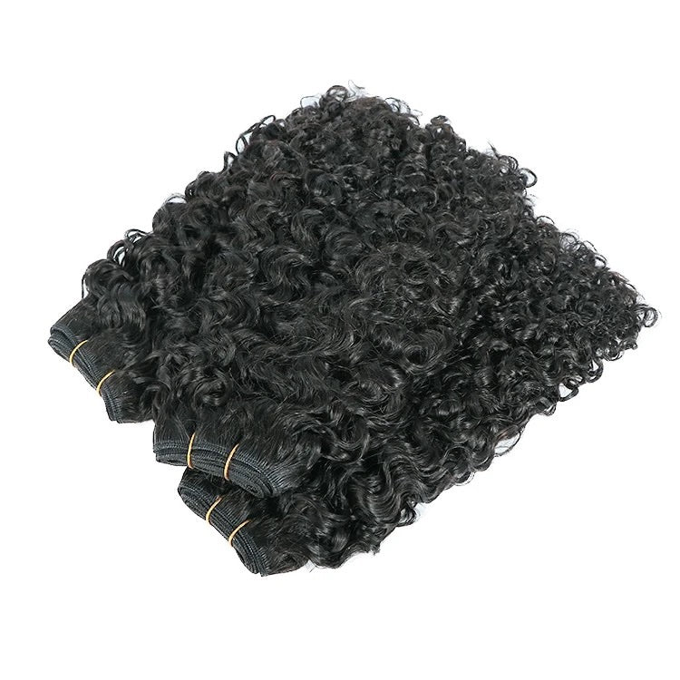 BURMESE JERRY CURLY